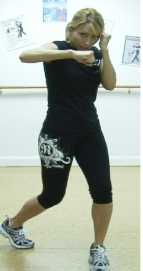 Cardio Kickboxing System