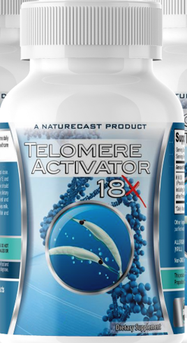 Telomere 1 Bottle